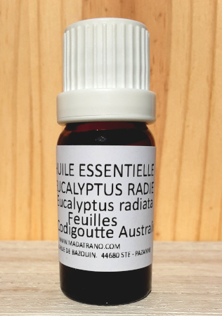 Eucalyptus Radié Huile Essentielle 