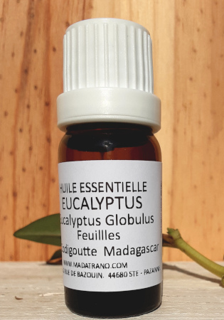 Eucalyptus Globulus Madagascar Huile Essentielle 