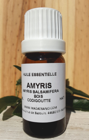 Amyris Huile Essentielle santal des Indes