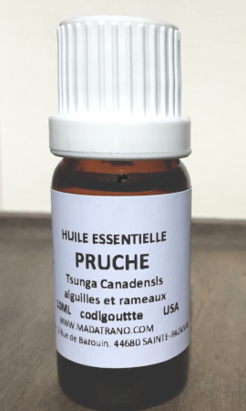 Pruche Huile Essentielle 