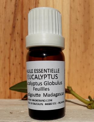 Eucalyptus Globulus Huile Essentielle conseils et utilisation